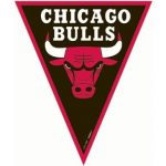 addobbi per feste chicago bulls NBA