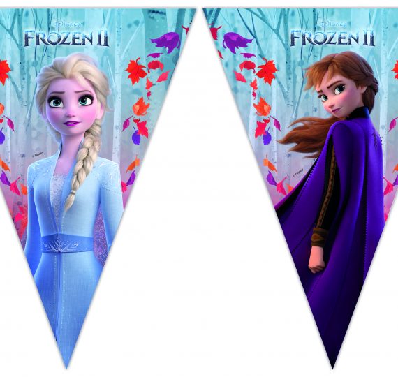 idee festa Frozen