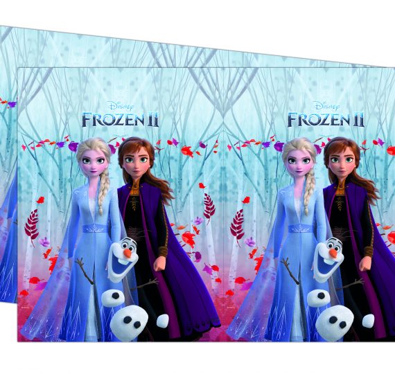 idee festa Frozen