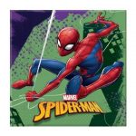 festa a tema spiderman