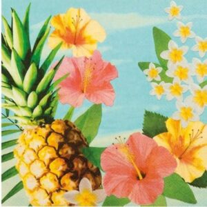 festa-a-tema-hawaiana