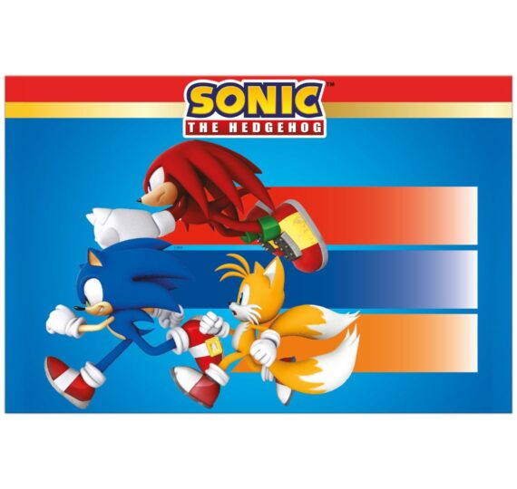 festa-tema-sonic